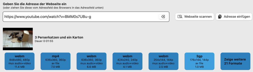 Erkannte Video-Ergebnisse in Video Downloader Ultimate unter macOS