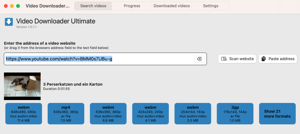 Detected video results list in Video Downloader Ultimate on macOS